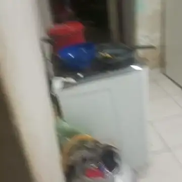 Snapshot of _-_-_-sthefany chatting on November 13, 2025, 2:26 am - - -sthefany online show from November 13, 2025, 2:26 am