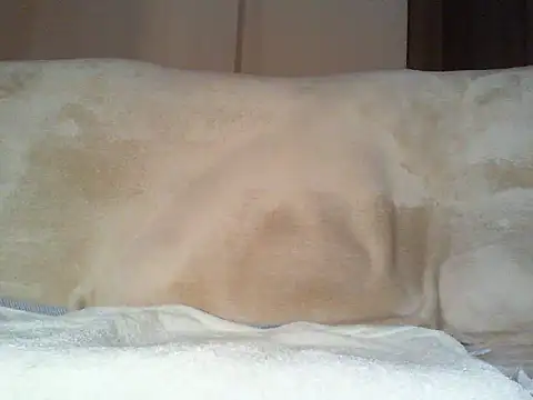 Snapshot of Cumlover5534 chatting on March 2, 2026, 9:38 am Cumlover5534 online show from March 2, 2026, 9:38 am