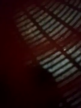 WillfulVideo online show from November 14, 2025, 4:54 pm