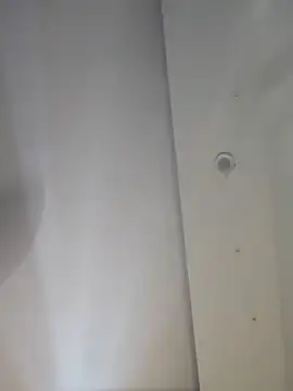 dishant 1686 online show from November 22, 2025, 10:36 am