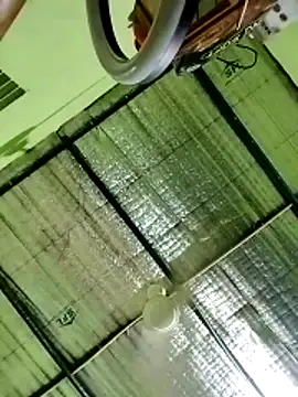 Keya-009 online show from March 20, 2026, 9:54 am