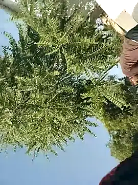 mukeshbhakar online show from November 9, 2025, 4:27 am