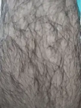 hyderabad single online show from November 29, 2025, 11:32 am