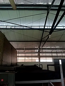 MonasticCanine online show from November 26, 2025, 11:32 am