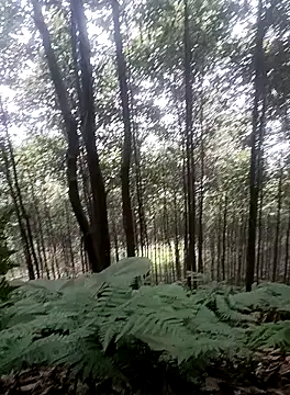 thuy-kieu online show from January 9, 2026, 1:56 am