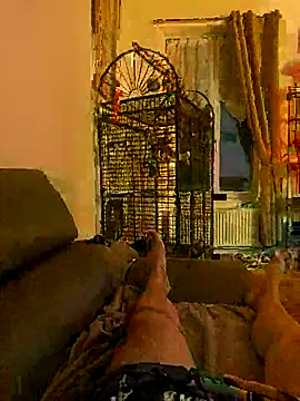 Nousdeux21 online show from April 3, 2026, 8:04 pm