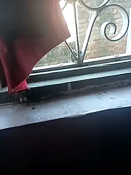 Snapshot of hotyyyyjonny chatting on November 18, 2025, 6:17 am hotyyyyjonny online show from November 18, 2025, 6:17 am