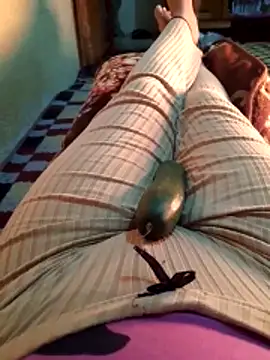 Tota sexi online show from November 30, 2025, 12:06 pm