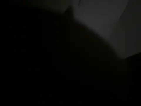 GangstaD online show from January 12, 2026, 7:04 am