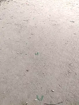 summa renu online show from November 14, 2025, 7:23 am