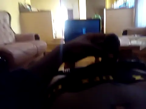 Snapshot of ZucCocDope11 chatting on May 21, 2026, 10:23 am ZucCocDope11 online show from May 21, 2026, 10:23 am