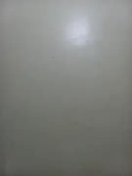 StormzyLeila online show from November 27, 2025, 7:25 pm