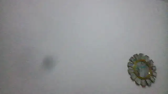 BWW-CINDY11 online show from February 26, 2026, 9:04 pm