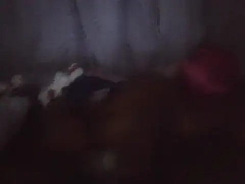 blackdickjeckmmm online show from December 4, 2025, 2:43 am