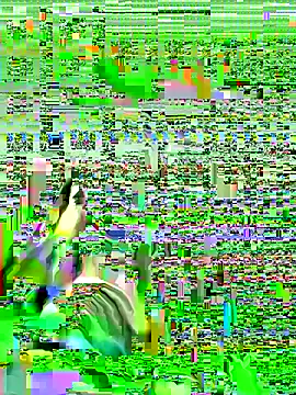 moranguinhofire online show from December 23, 2025, 12:43 am