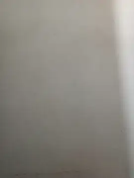 Reema 143 online show from December 16, 2025, 2:21 pm