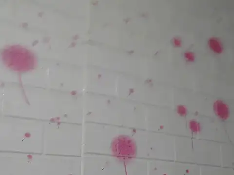 Snapshot of Kim_mon chatting on November 29, 2025, 2:17 pm Kim mon online show from November 29, 2025, 2:17 pm