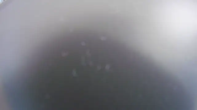 Snapshot of Noah_Greenhart chatting on January 15, 2026, 7:39 pm Noah Greenhart online show from January 15, 2026, 7:39 pm