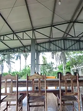 nori dunda online show from April 9, 2026, 11:49 am