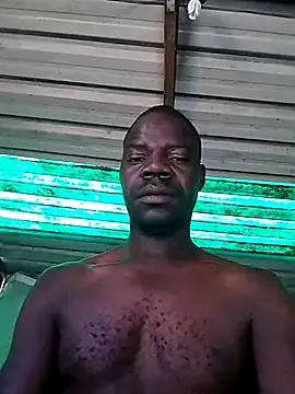 pdck2025 online show from November 22, 2025, 6:56 am