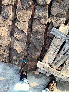 apka rockstarr online show from December 17, 2025, 2:49 am