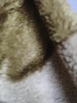 Snapshot of luckyutube chatting on December 21, 2025, 3:47 pm luckyutube online show from December 21, 2025, 3:47 pm