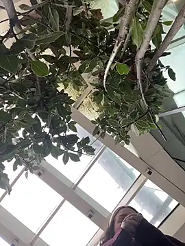 Snapshot of KateBurlesk chatting on February 1, 2026, 9:07 am KateBurlesk online show from February 1, 2026, 9:07 am