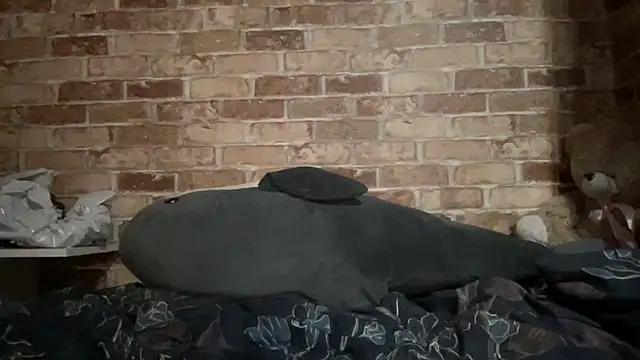 Blair Reid online show from November 29, 2025, 4:40 pm