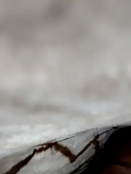 jiniya6789 online show from January 9, 2026, 7:54 pm