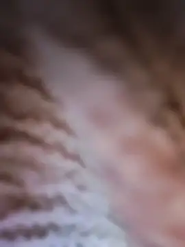 Punam panjabi online show from February 28, 2026, 7:52 am