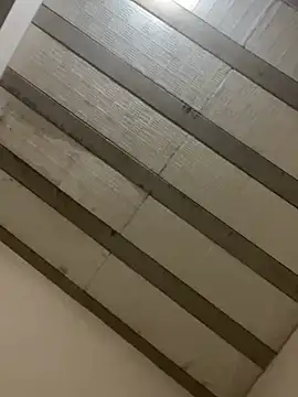 Snapshot of PartiedOmelet chatting on February 23, 2026, 5:24 pm PartiedOmelet online show from February 23, 2026, 5:24 pm