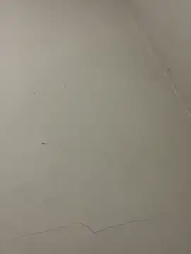 Snapshot of PartiedOmelet chatting on January 13, 2026, 1:48 pm PartiedOmelet online show from January 13, 2026, 1:48 pm