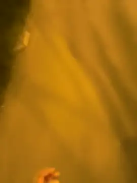 Razvan696969 online show from April 17, 2026, 8:33 pm