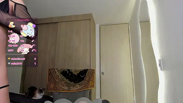 sofy meuw online show from February 26, 2026, 6:35 am