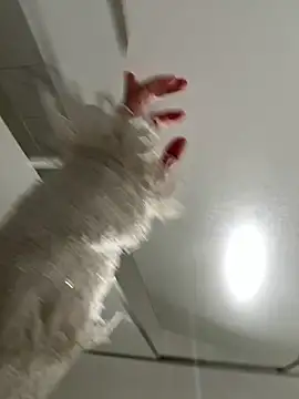 Seven-017 online show from December 21, 2025, 6:59 am