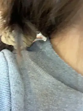 DMG-41 online show from December 19, 2025, 6:38 am