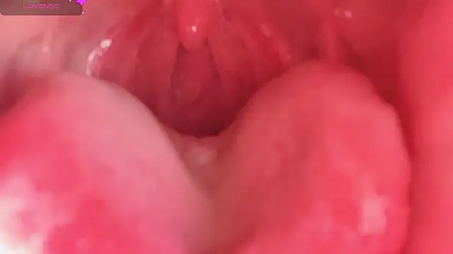 LT-333 online show from February 10, 2026, 4:39 pm