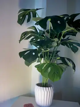 ZoeyFierce online show from March 8, 2026, 1:36 pm