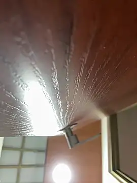 Dafne se online show from January 18, 2026, 12:36 am