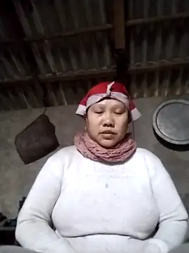 LeoPet2x online show from February 3, 2026, 2:00 am