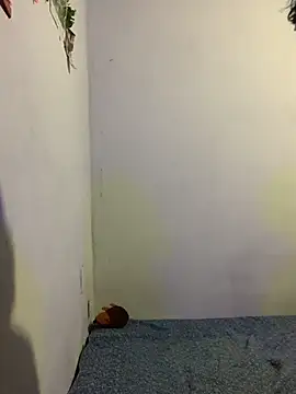 Snapshot of Arely-L1 chatting on February 9, 2026, 12:30 am Arely-L1 online show from February 9, 2026, 12:30 am