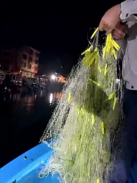 A-ZJunn online show from January 8, 2026, 12:55 pm