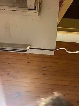 Snapshot of Petebulimia chatting on February 23, 2026, 4:40 pm Petebulimia online show from February 23, 2026, 4:40 pm