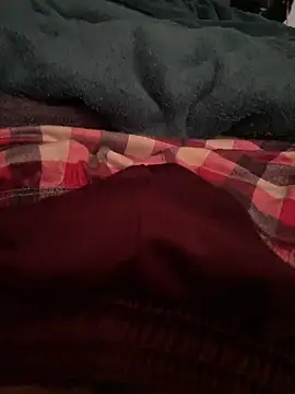 Snapshot of serg1io chatting on November 30, 2025, 7:47 pm serg1io online show from November 30, 2025, 7:47 pm