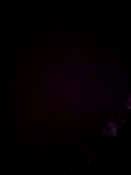 ninasex1995 online show from December 1, 2025, 10:54 pm