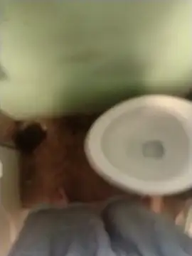 bigjohnson2914 online show from March 13, 2026, 1:05 pm