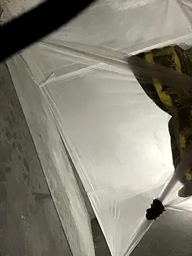 Snapshot of Wendy-babyy chatting on December 16, 2025, 4:44 pm Wendy-babyy online show from December 16, 2025, 4:44 pm