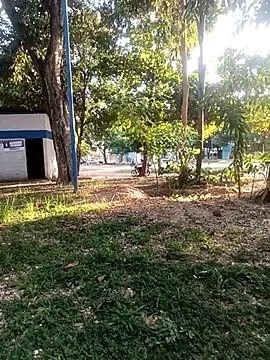 Snapshot of Mchljjk chatting on January 5, 2026, 8:23 pm Mchljjk online show from January 5, 2026, 8:23 pm