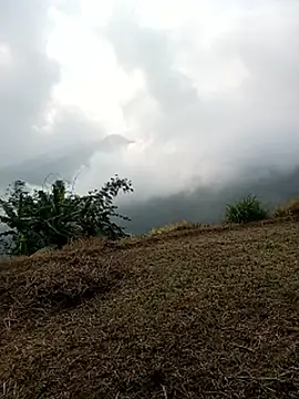 sary-hot2x online show from March 25, 2026, 2:23 am