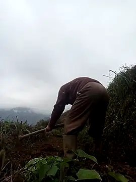 mon-monk online show from December 17, 2025, 1:10 am